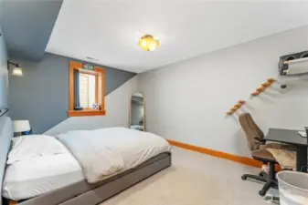 Second spacious bedroom on the lower level—ideal for family, guests, or flexible living arrangements.