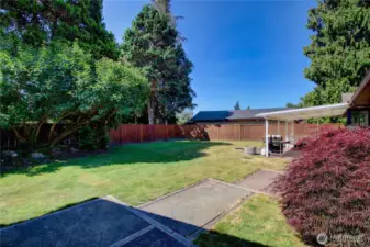 Large partially fenced in back yard.