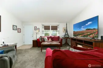 Large Sunny Living Areas