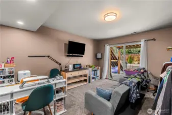 Lower level living room