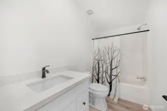 Guest bath