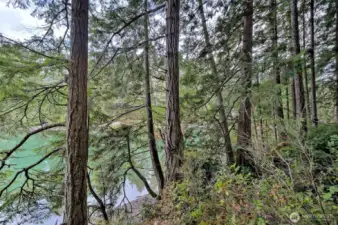 View to the North up Deer Harbor