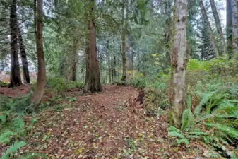 Getting close to the water!