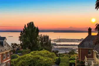 West-facing view from the rooftop deck of Elliott Bay, Elliott Bay Marina, and the Olympic Mountains.