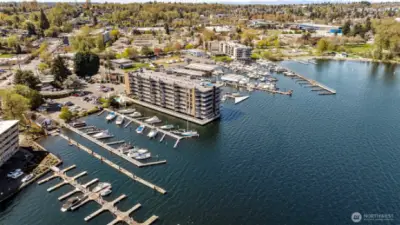 A sweeping perspective of marina life, where tree-lined streets, quiet docks, and tranquil water meet—offering a perfect balance of connection and escape.