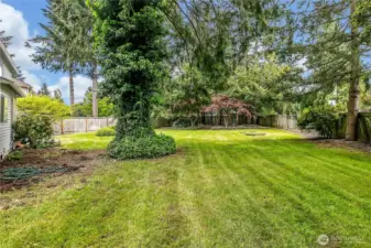 The backyard is absolutely gorgeous, offering a serene and inviting space to relax or entertain. Lush landscaping and ample space make it a perfect outdoor retreat.