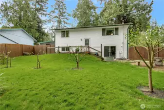 Large yard with fruit trees
