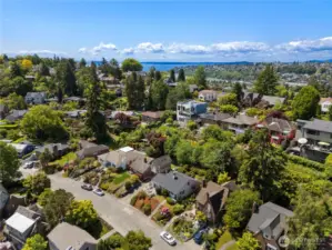 Terrific neighborhood!