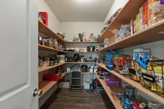 Large pantry with tons of storage!