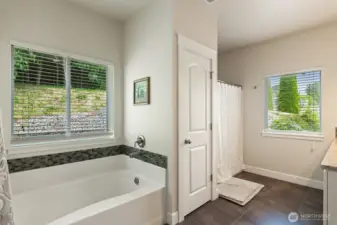 Soaking tub and separate shower.