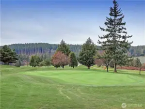 Vision your hole-in-one on this par 3, Hole #4