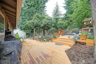 View of the backyard from the side.