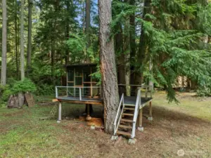 Treehouse and shop area.