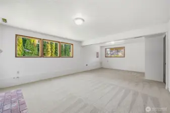 Lower-level living space enhanced by strategic window placement, providing excellent natural light.