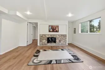 Lower level Rec. room