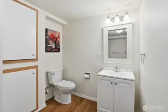 Lower level Bathroom