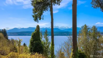 Spectacular westerly views of the Olympics and Hood Canal.