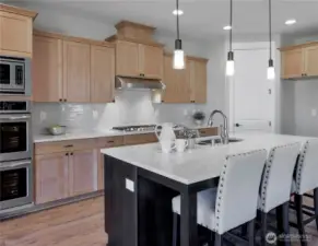 Photo is for informational purposes only & is not of the actual home being built.