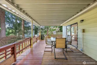 Expansive back deck