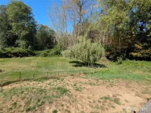 Backyard area