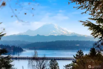 The mountain view from the front patio is breathtaking!