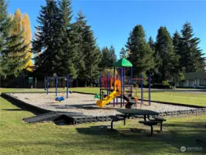 Community park & playground