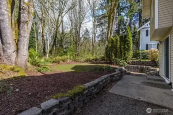 Backyard with protected greenbelt