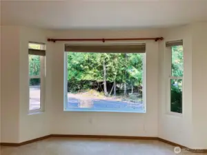 Bay Windows