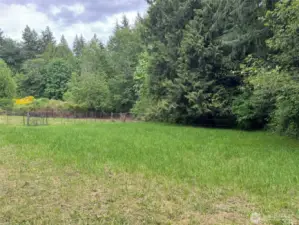 Pasture