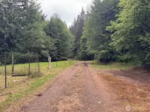 Road leads to barn