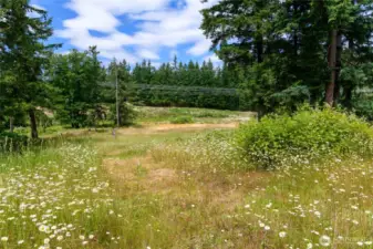 Natural Surroundings — A peaceful backdrop of native trees and seasonal views make for a scenic homesite.