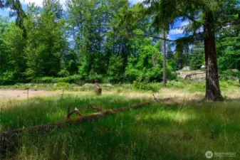 Quiet and peaceful, enjoy walks down the trails or even horseback riding!