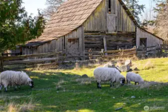 Decatur NW Barn