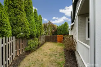 Side Yard