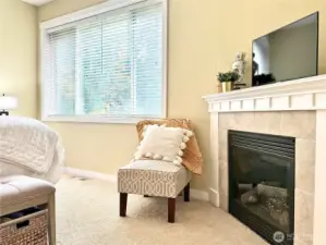 Master Bedroom fireplace