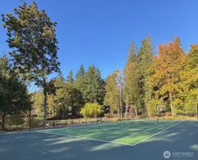 Athletic courts with-in walking distance