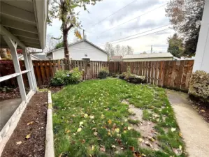 Fenced Backyard