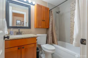 Guest bathroom