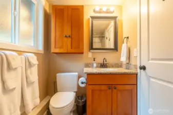 Lower level 3/4 bathroom