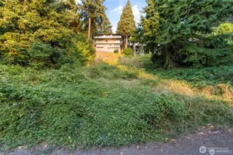 Cleared lot potential for possible DADU