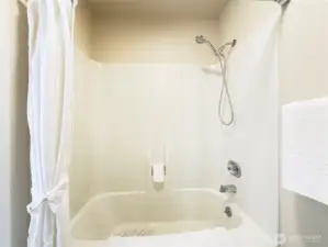 Primary tub and shower combination