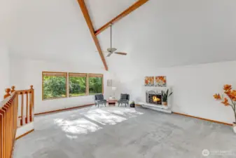 Huge great room