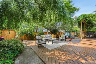 The private backyard