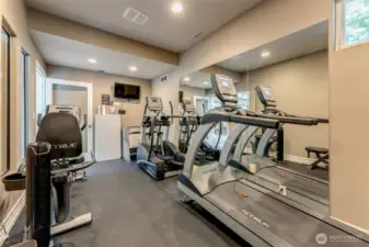 Ammenties-Gym