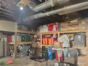 Unfinished basement with lots of storage.