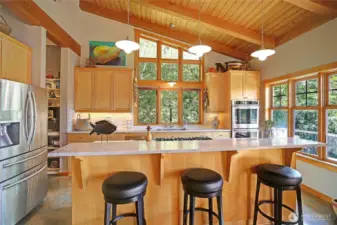 Updated Chef's Kitchen