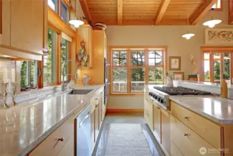 Updated Chef's Kitchen