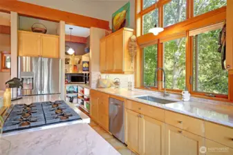 Updated Chef's Kitchen