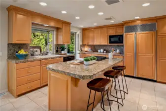 Expansive kitchen with abundant storage, gas cooktop island, and views to lush greenery beyond.