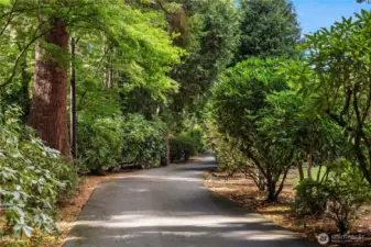 A winding driveway framed by mature rhododendrons and evergreens leads to this hidden Normandy Park retreat.